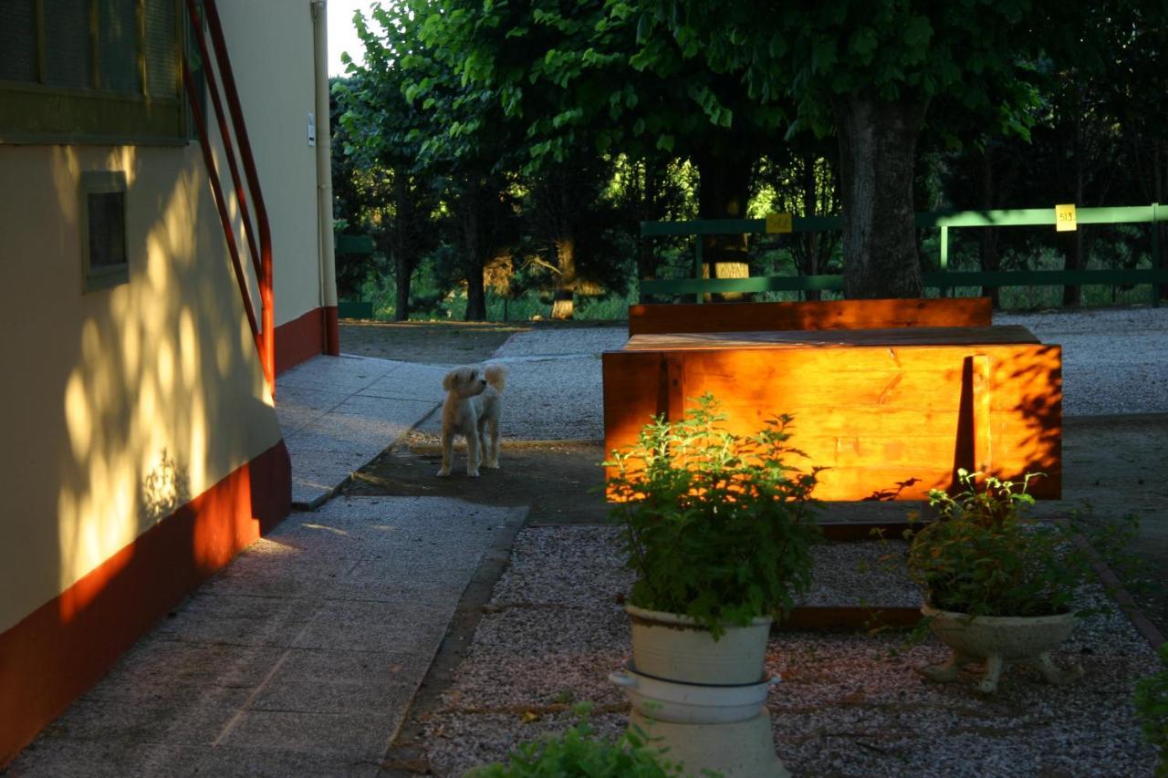 Villa Lilli 2 แฟร์รารา ภายนอก รูปภาพ
